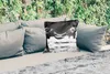 MuchoWow® Outdoor Kissen - Elefant - Tiere - Schwarz und Produktbild-Vorschau 2
