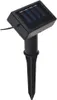 A close-up product shot of a solar-powered garden light stake. Anteprima dell’immagine prodotto