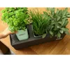 Greenbar® Kräuterkasten, für 3 Kräutertöpfe, mit Produktbild-Vorschau 6
