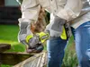 A person wearing gloves and jeans is using a Ryobi angle grinder on a wooden surface outdoors. Produktbild-Vorschau