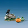 LEGO® Harry Potter™ 76427 Ippogrifo Fierobecco Anteprima dell’immagine prodotto 19