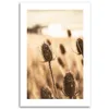 Leinwandbild Getrocknete Distel 70x100 Feeby Beige bild für Produktbild-Vorschau 3