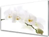 Acrylglasbilder 100x50 Wandbild Druck Blumen Pflanzen Produktbild-Vorschau 1