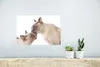 MuchoWow® Poster Zwei süße burmesische Katzen kuscheln Produktbild-Vorschau 5