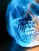 Ragni inquietanti decorazione per feste di Halloween nero Anteprima dell’immagine prodotto 5