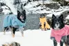 Hurtta Expedition Wintermantel Parka, Farbe:dunkelgrau, Produktbild-Vorschau 6