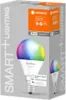 LEDVANCE LED-Lampe SMART+ WiFi Mini żarówka 40 Multicolour Podgląd zdjęcia produktu 9