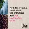 Maui Daily Hydration + Hibiscus Water Shampoo 385 ml Produktbild-Vorschau 5