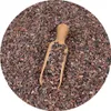 A close-up view of crushed cocoa beans with a small wooden scoop. Náhled obrázku produktu