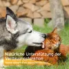 AniForte Ulmenrinde Pulver für Hunde & Katzen 100g - Nach Produktbild-Vorschau 6