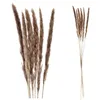 24x Pampasgras 4 Farben Dekogras H65-75 cm Trockenblume Produktbild-Vorschau 7