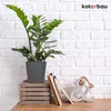 KOTARBAU® 2er Set Blumentopf Aschefarbe Keramik glasiert  ⌀ Produktbild-Vorschau 2