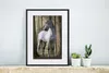 MuchoWow® MuchoWow® Gerahmtes Poster Pferd - Andalusier - Produktbild-Vorschau 6