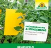 Neudorff Insektizidfreie Gelbtafeln (großformatig) 5 Stk. Produktbild-Vorschau 7