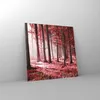 Bilder auf glas - Einteilig - Wald Rot Bäume - 60x60cm - Produktbild-Vorschau 4