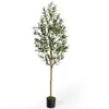 HAUSPROFI Kunstpflanze Olivenbaum 180 cm,Realistische Olive Produktbild-Vorschau 1