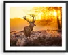 Gerahmtes Poster - Schwarzer Rahmen - Herbst landschaft Produktbild-Vorschau 1