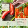 Semi di pomodoro biologici (San Marzano, 10 semi) - Semi di Anteprima dell’immagine prodotto 2