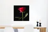MuchoWow® Poster Eine rote Rose auf schwarzem Hintergrund Produktbild-Vorschau 5