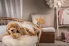Steiff Hund Henny 50 cm liegend blond Plüschhund 067433 Produktbild-Vorschau 3