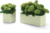 Pflanzkübel Kebe 100 x 40 cm oasi Greener, mit Rollen und Produktbild-Vorschau 3