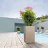 LECHUZA plantpot CANTO Stone 40 Low, zandbeige | Plantpot Productafbeelding-voorbeeld 35