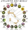 Brezzo Honey Atlas 18 Geschmacksrichtungen Produktbild-Vorschau 12