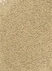 Tetra Pond Teichfutter Sticks 4 l Produktbild-Vorschau 2