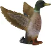 COLLECTA Kačer kachny divoké Náhled obrázku produktu 2