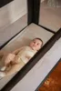 MamaLoes Soof Schwarz Reisebett Produktbild-Vorschau 8