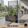 BigDean 2X Blumenkasten mit Rankgitter Pflanzkasten 80x36x Produktbild-Vorschau 2