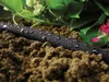 CellFast Wąż Nawadniający Drip 7,5m 1/2" Kroplujący Pocący Podgląd zdjęcia produktu 10