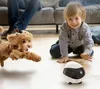 A young boy and a dog are playing with a small robot on the floor, with a person sitting on a couch in the background. Náhled obrázku produktu