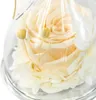 Schutzengel Ewige Rose im Glas als Geschenk Produktbild-Vorschau 5