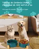 A cat and a dog are sitting next to a double pet bowl stand with two bowls, one filled with water and the other with kibble. Produktbild-Vorschau