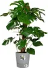 ELHO - Blumentopf - Greensense Aqua Care Round 43 - Light Produktbild-Vorschau 6