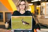MuchoWow® Laptop Aufkleber Sticker Cover Vogel - Gras - Produktbild-Vorschau 5