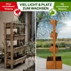 TTL GARDEN Vertikal Hochbeet 4 Etagen Holz – Kräuterbeet Produktbild-Vorschau 9