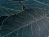Premium WC-Sitz Big Leaves mit Relief Produktbild-Vorschau 6