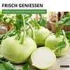 Kohlrabi Superschmelz Samen - Brassica oleracea - Produktbild-Vorschau 5