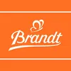 Brandt Stipp- und Suppenzwieback Einlage für Suppen Packung Produktbild-Vorschau 1