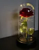 Rose im Glas - leuchtend Malatec 21619 Produktbild-Vorschau 37