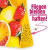 inseko 1x Fruchtfliegen Falle I effektive Obstfliegenfalle Produktbild-Vorschau 3