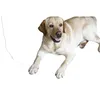 Veterinární infuzní pumpa Přenosná volumetrická pumpa Náhled obrázku produktu 2