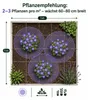 Stauden Gänge 5 x Geranium 'Rozanne ®' im 1 Liter Topf - Produktbild-Vorschau 7