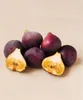 Ficus carica 'Brown Turkey', Feige, 60–80 cm, winterhart Produktbild-Vorschau 3