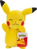 A plush toy of the character Pikachu from Pokemon. Náhled obrázku produktu