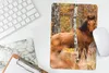 MuchoWow® Mauspad Mousepad Pferd - Wald - Braun 18x27 cm - Produktbild-Vorschau 5