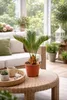 Cycas Revoluta 55 cm – Sagopalme / Japanische Sagopalme – Produktbild-Vorschau 4