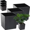 A group of black square planters are arranged in a stepped pattern, with one planter in the foreground containing a green plant. Produktbild-Vorschau